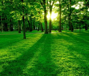 孕妇感冒嗓子干流鼻涕（孕妇感冒流鼻涕喉咙痛吃什么药好得快）