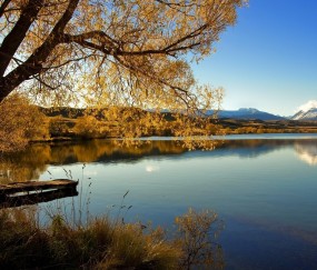 试管婴儿多大年龄不能做（做试管年龄最大不能超过多少）