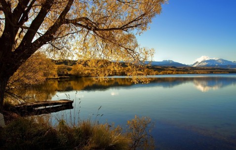 孕妇感冒胡萝卜能治（孕妇 胡萝卜）