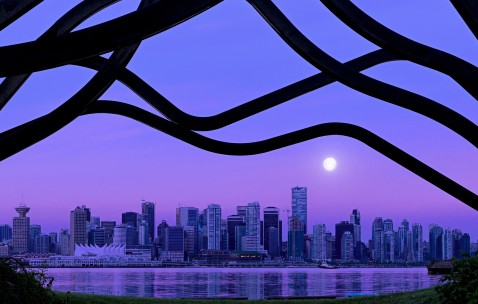 甲状腺激素吃什么好（甲状腺激素的食物）