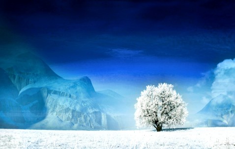 怀孕初期感冒泡姜水（孕初期感冒能喝姜水吗）