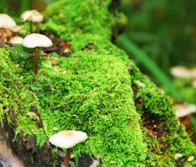 新生儿黄疸值160正常吗（新生儿黄疸160是多少值）