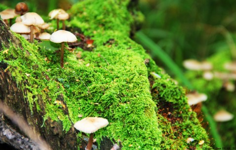 新生儿黄疸值160正常吗（新生儿黄疸160是多少值）