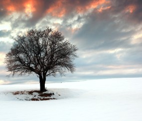怀孕初期地板发霉（家里地板发霉孕妇能住吗）
