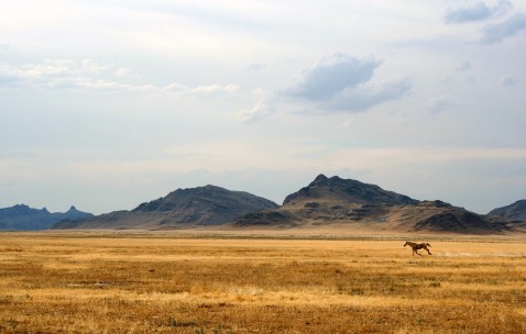 孕妇感冒感觉咳嗽感觉发炎（孕妇感冒感觉咳嗽感觉发炎怎么办）