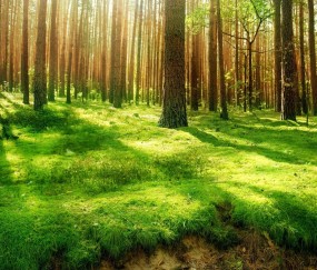 孕妇热感冒有黄痰（孕妇热感冒有黄痰吃什么药）