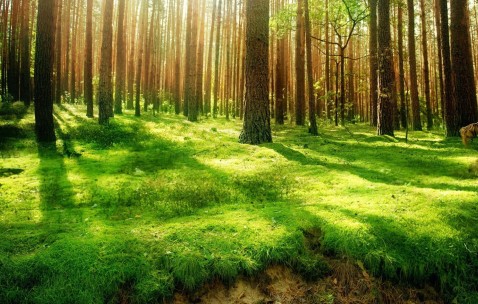 孕妇热感冒有黄痰（孕妇热感冒有黄痰吃什么药）