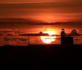 福州当地正规民营供卵机构名单，高龄备孕家庭真等不起！