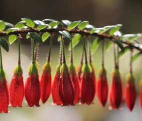 不排卵做试管婴儿多少钱（不排卵如何做试管）