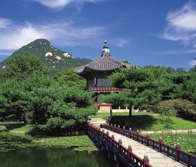 做试管婴儿定方案是什么意思（试管婴儿定方案后流程）