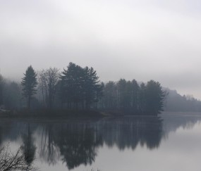 福州10家正规供卵医院完整名单，供卵全流程花费明细！