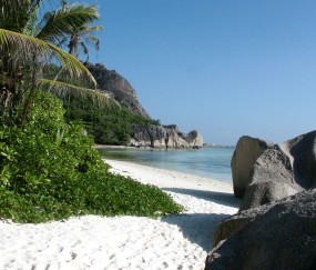 孕妇流清鼻涕是风寒还是风热感冒（孕妇流清鼻涕是不是代表快好了）