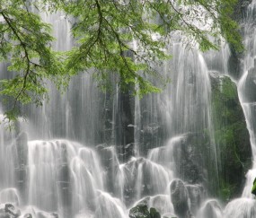 重庆试管医院哪个号（重庆试管婴儿哪个医院）
