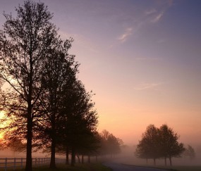 贵阳试管婴儿多少钱一次?