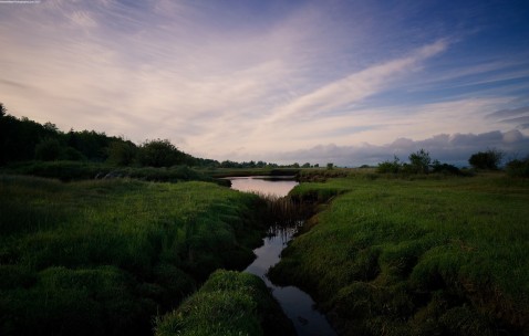 孕妇感冒最快的密方（孕妇感冒用什么办法）