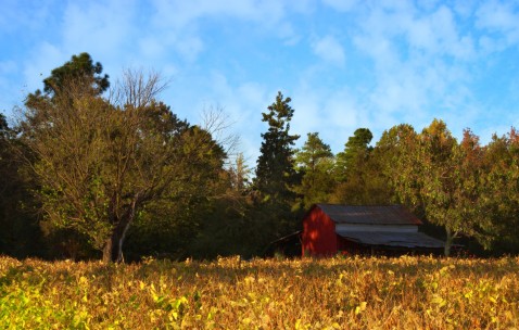 贵阳供卵生殖机构名单大全，助孕成功最快仅需28天！（贵阳哪里可以有偿捐卵）