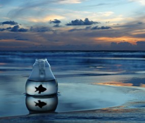 小孩感冒咳嗽早晚咳嗽得很厉害（小孩感冒早晚咳嗽,白天不怎么咳嗽）