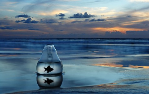 孕妇感冒挂中医结合科（孕妇感冒挂哪科合适）