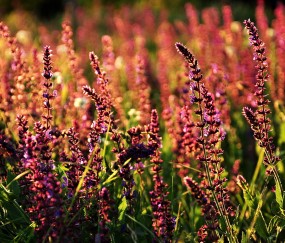 小孩洗澡引起发烧感冒（小孩洗澡引起发烧感冒吃什么药）