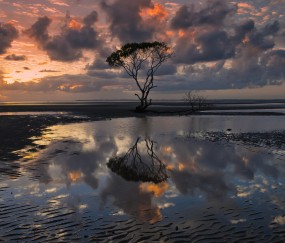 孕妇感冒咳嗽耳骨疼怎么办（孕妇感冒咳嗽耳朵痒怎么办）