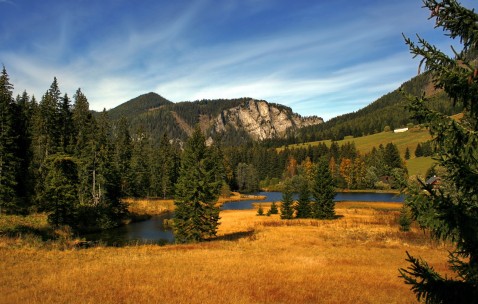 福州供卵机构排名前十出炉，借卵代怀生子机构一览！