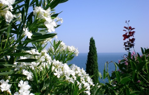 取环后月经很少怎么办