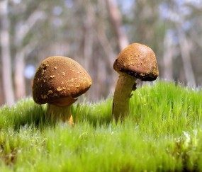 怀孕初期可以站着直播吗（早孕可以站着吗）