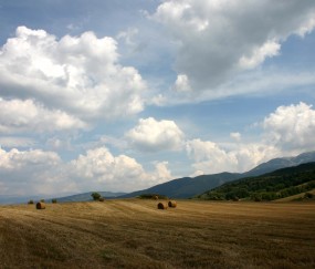 怀孕初期感冒不好可以看医生吗（孕早期感冒了要看医生吗?）