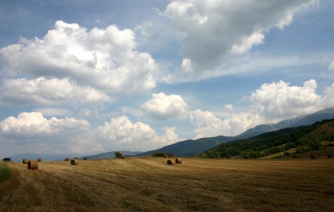 孕妇感冒发烧咳嗽吃什么好（孕期感冒咳嗽发烧）
