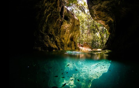 试管可以做男女吗（试管可以做男女吗,在哪里做）