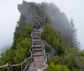福州私立供卵试管包成功医院排名，40岁胚胎着床率达51%！