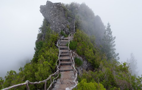 福州当地正规民营供卵机构名单，供卵助孕各阶段费用参考！