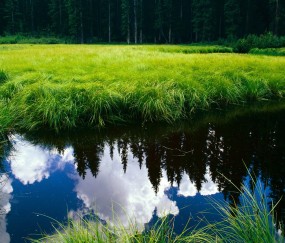 试管婴儿多少钱自贡（试管儿价格）