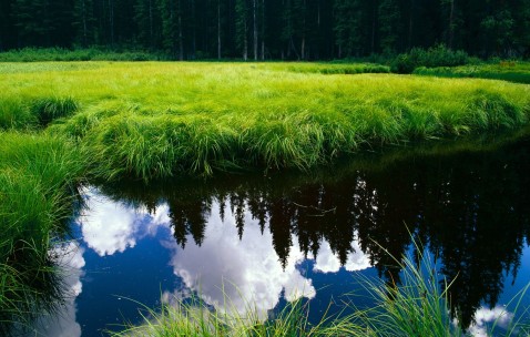 小孩发烧会引起扁桃体炎吗（发烧会引发扁桃体发炎）